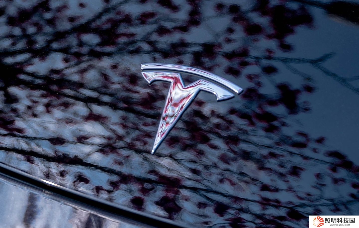 特斯拉多頭分析師大幅下調(diào)該公司目標價，稱馬斯克引發(fā)品牌危機