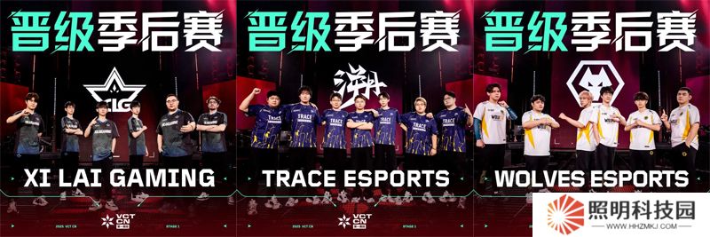 XLG/TE/WOL攜手晉級季后賽，Omega組季后賽名額全部出爐