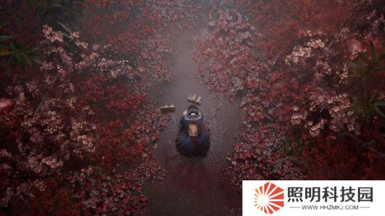 《寂靜嶺f》通過ESRB評級 游戲十分血腥暴力