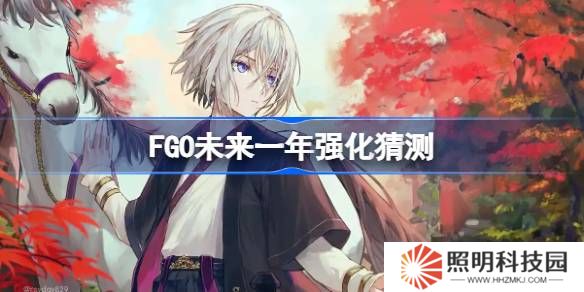 FGO未來一年該怎么選擇強化-FGO未來一年強化猜測