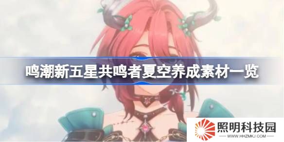 鳴潮新五星共鳴者夏空養成素材一覽-鳴潮新五星共鳴者夏空養成素材有哪些