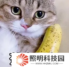 【大河懟策劃】交易區真的要來啦！